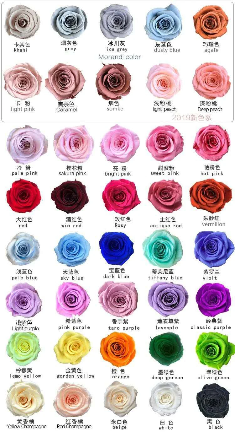 Rosa Eterna De Larga Duración,Flor Roja Y Rosa Preservada,Hecha A Mano,Para  El Día De San Valentín,Aniversario,7 Uds. - Buy Rosa Eterna Y Flor,Real Y  Rosa,De Larga Duración Rosa Product on Alibaba.com