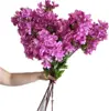 สีม่วง
