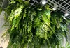 Cypress Ceiling