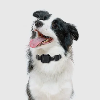 Custom Logo Smart Geo Fencing Alarm Pet Satellite Dog Collars 4G 2G Mini GPS Tracker Sim Card