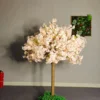 Albero di ciliegio da 1,2 m#2