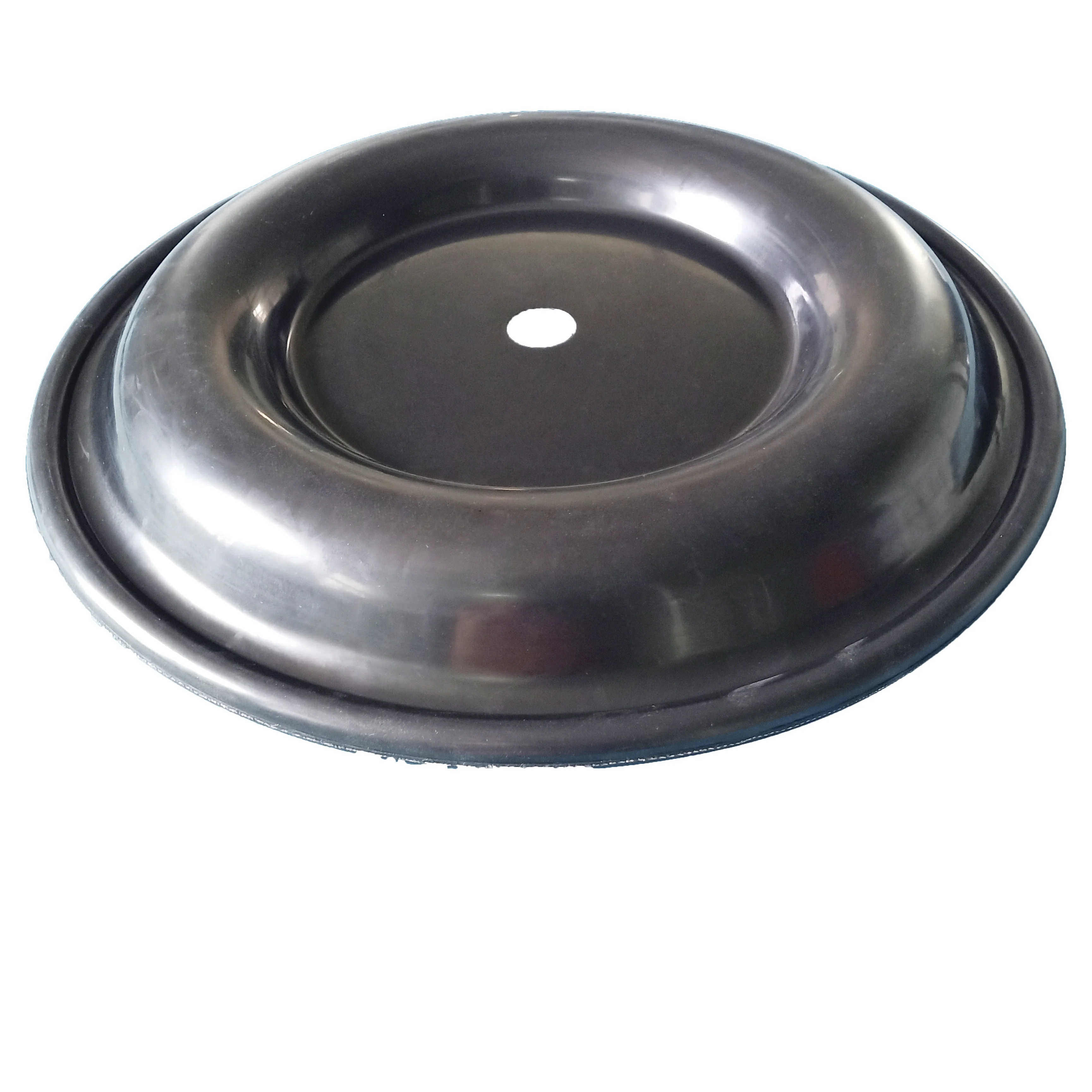 CF15-1020-51 Diaphragm