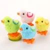 Wings chick