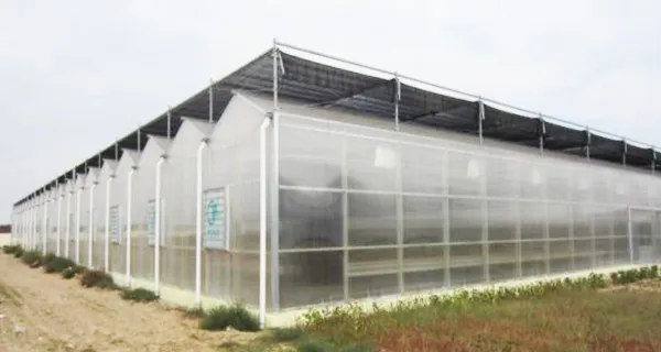 Цветной полупрозрачный поликарбонатный лист с двойными стенками от солнца пластиковые зеркальные листы