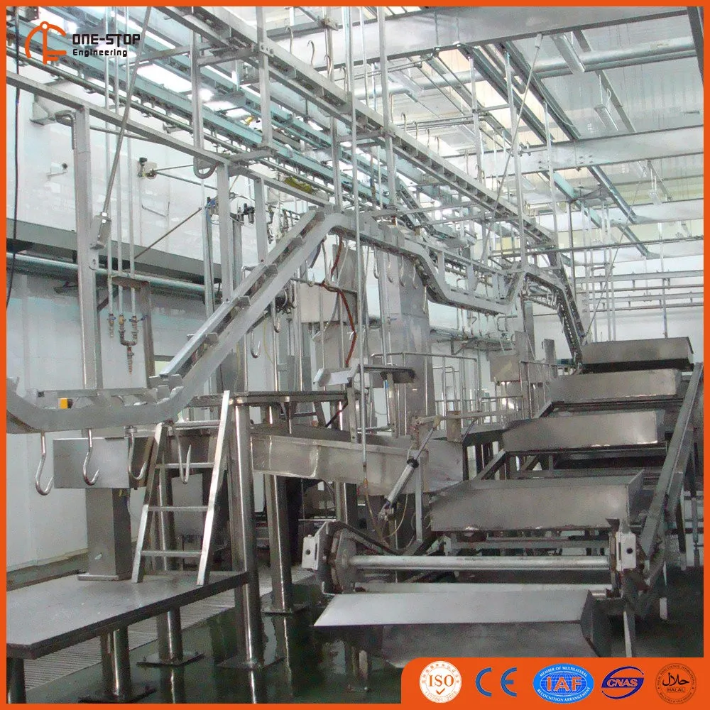 Stainless steel meat conveyor system modular belt and roller design for slaughterhouses