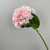 Pink 182 film hydrangea