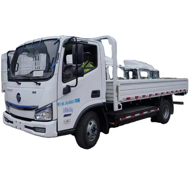 Foton Zhilan 4.5T 4.18m single-row pure electric panel light truck