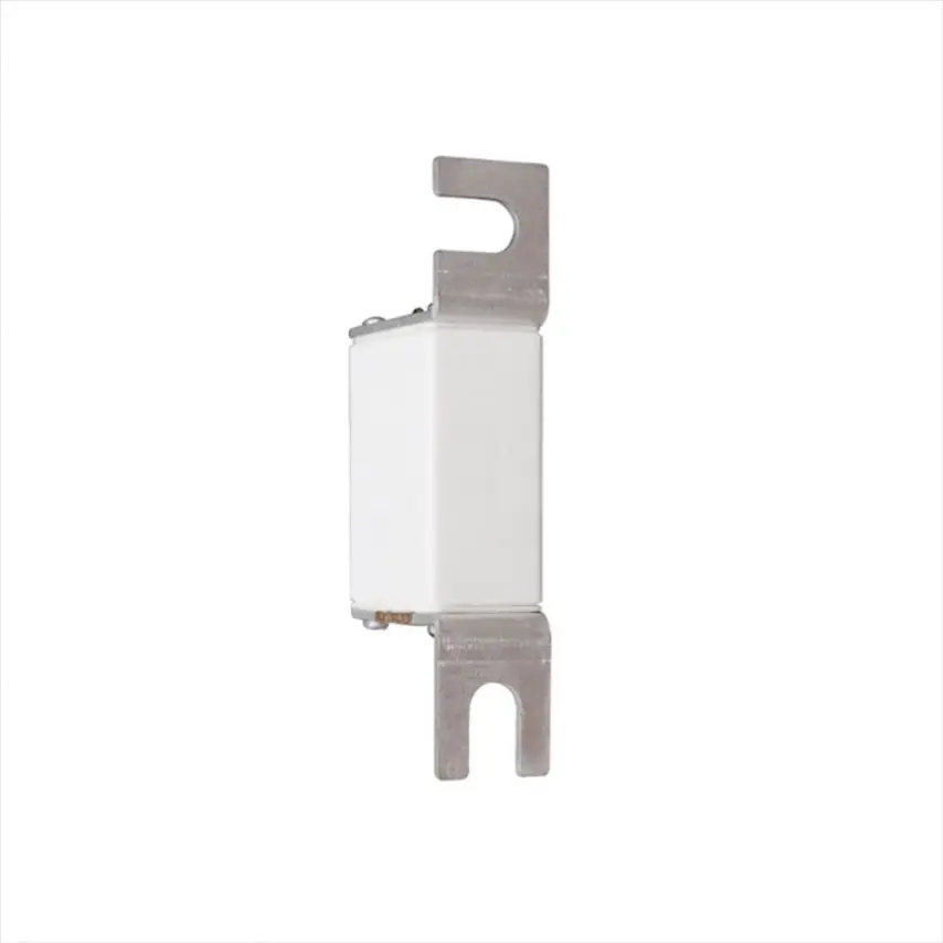 170H0069 MICROSWITCH K1 2A 250V UR Bussmann