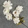 02-02