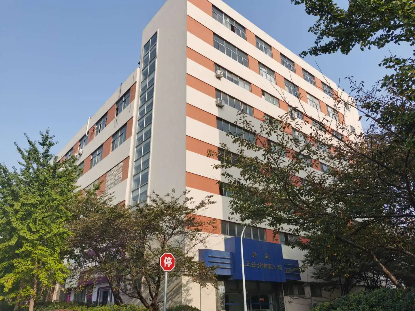 Qingdao Jvhengxin International Trading Co., Ltd.