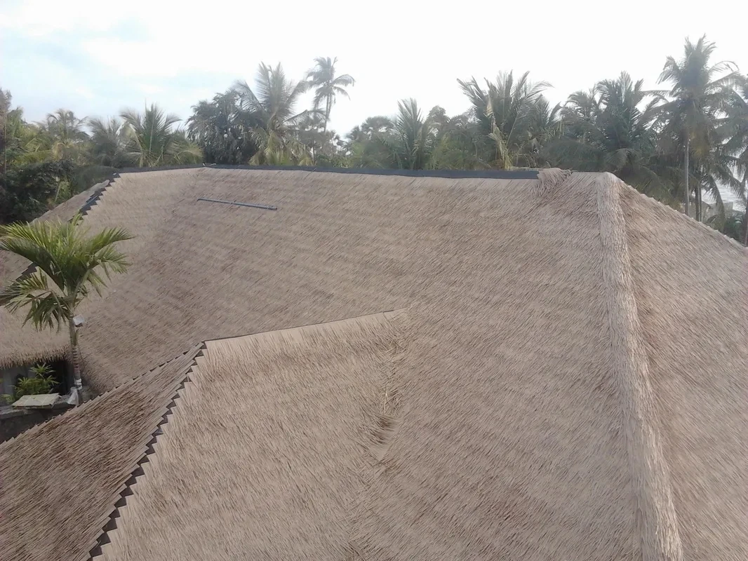 rs=w_1300,h_800.webp (6).jpg