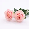 สีชมพู