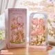 Vetrina Quadrata per Fiori - Tulipano