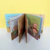 หนังสือแบบมีแผ่นพับ