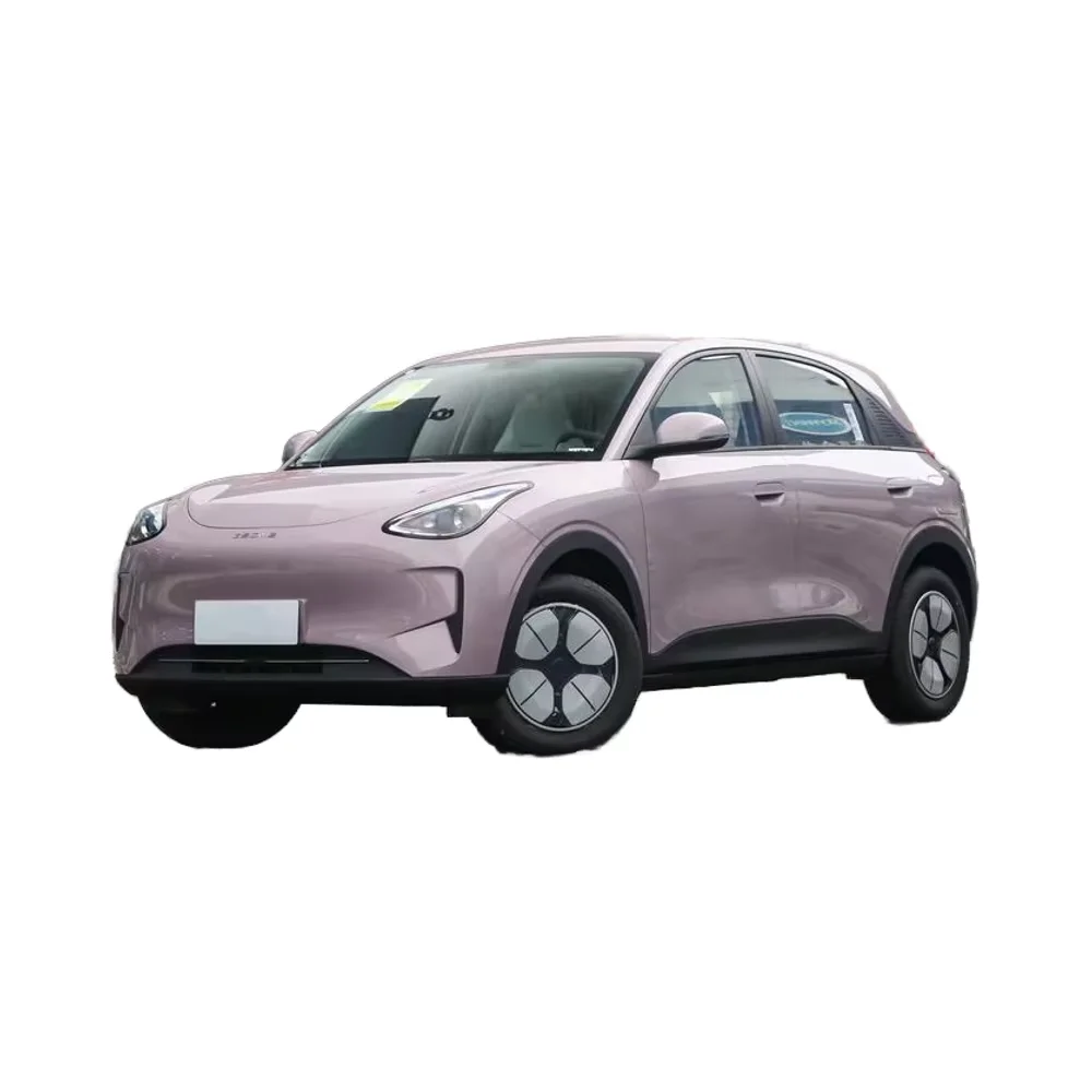 For Geely 2025 Youth Edition Galaxy-Star Wish 310Km New Energy Vehicle