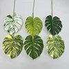 N°3 Feuilles de Dos de Tortue - Vert
