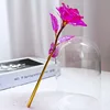 colorful New Single Gold-Leaf Flower - Rose Red