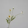 Bianco latte