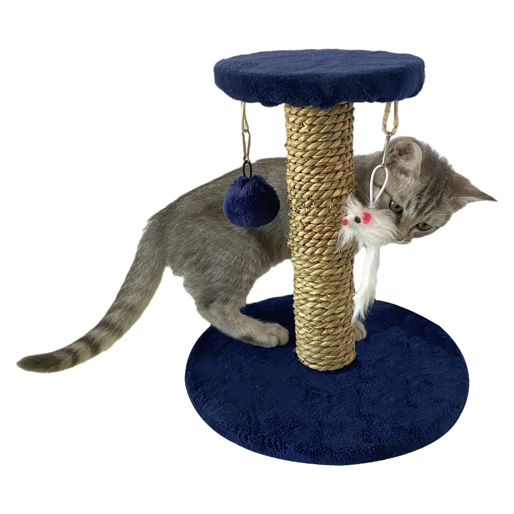 Double Layer Cat Scratcher with a Cat Toy and Balls Interactive
