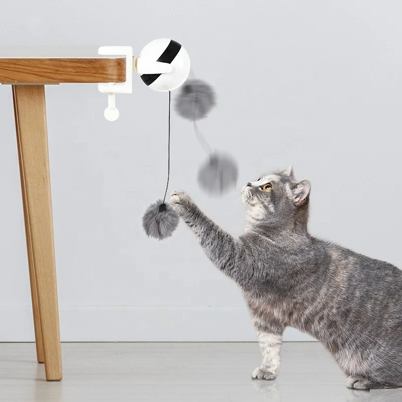 お得大得価 面白いボールと新しい電気インタラクティブ猫のおもちゃ Buy Cat Exercise Ball,Funny Ball