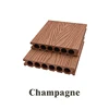 Champagne 15cm sample