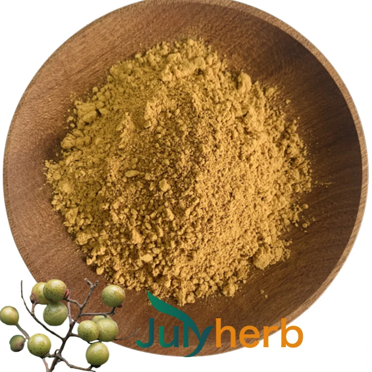 Sapindus mukorossi extract powder