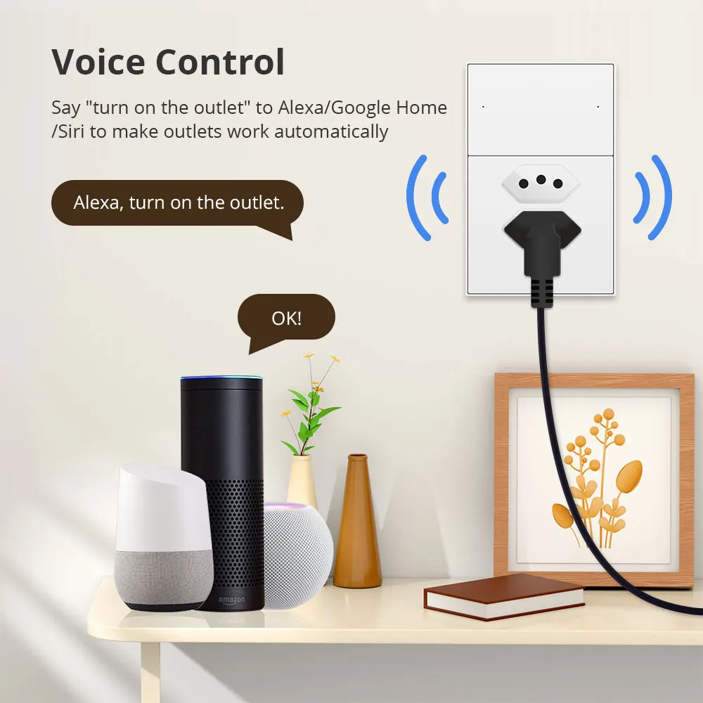 Electrodomésticos inteligentes Zigbee Smart Brasil Socket 10A 20A