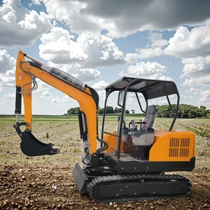 Multi-Function Hydraulic Crawler Micro Digger Small New Farm Use Excavator Machine Fast Delivery Mini Excavator