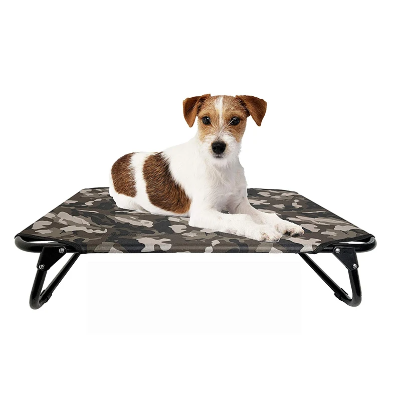 collapsible raised dog bed