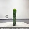 Cactus mexicano - 110CM (viene con base negra)