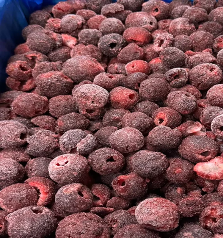 China Supplier IQF Frozen Fruits Healthy Natural Frozen Bayberry
