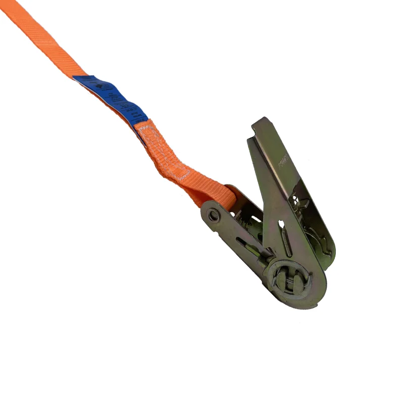 1inch/LC800KGS/6m Light Duty Ratchet Strap  Polyester Endless Lashing Strap