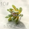 SKU10