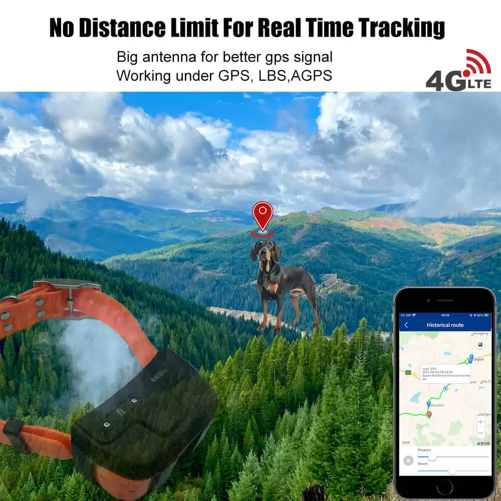 4G IK122 PRO DOG GPS  (4).jpg