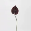 puRed Palm (rouge foncé classique)