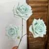 Diamond Rose