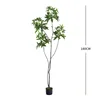 Árbol del dinero 180cm