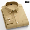 Champagne C2829