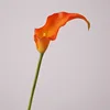 03-naranja-rojo