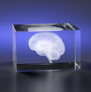 3DクリスタルブロックエッチングクリスタルブレインペーパーウェイトMH