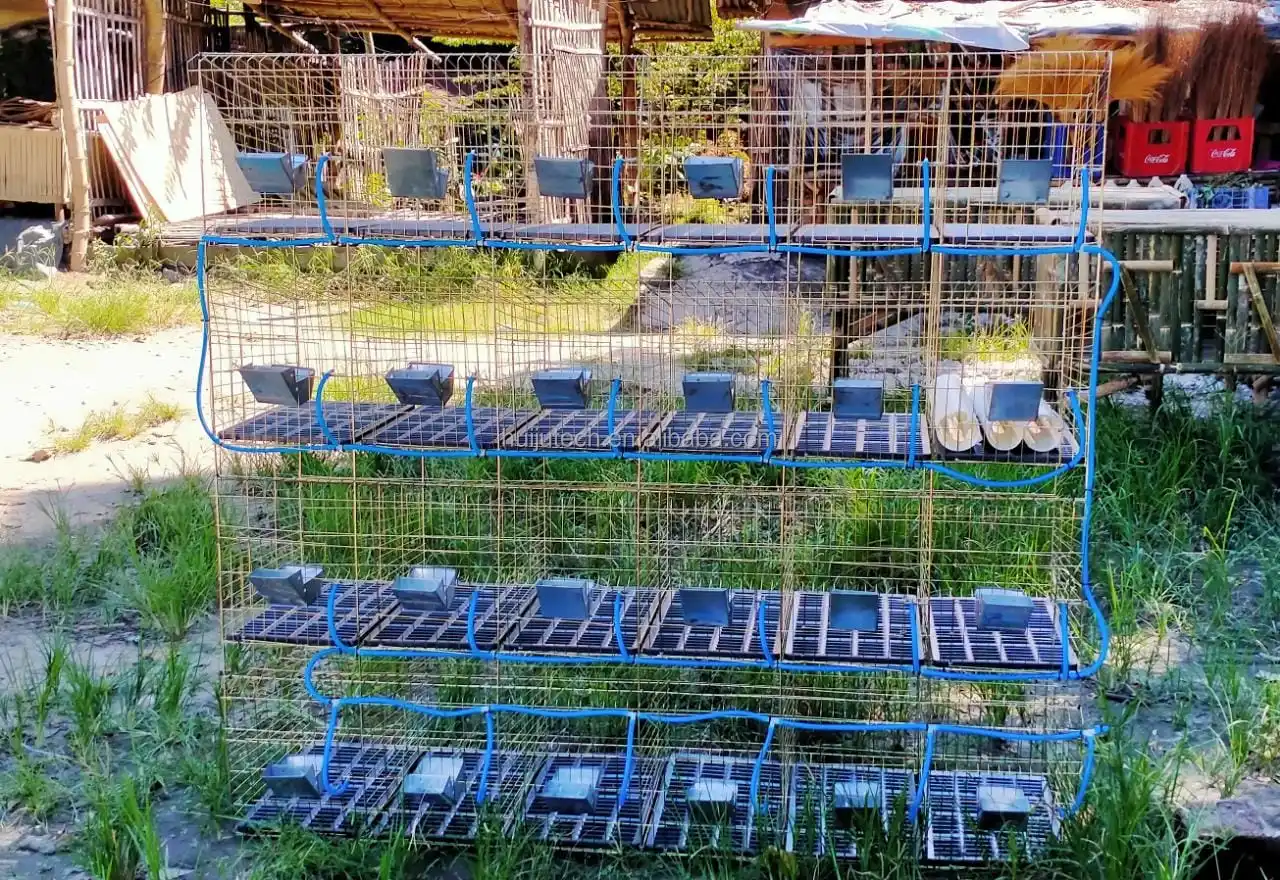 Popular In Philippines Commercial Rabbit Cage Farming Buy Commercial