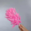 Rose vif