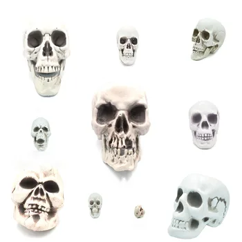 Halloween Life Size Replica Realistic Human Skull White Head Bone Model