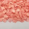 natural petals confetti