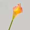 50cm Orange