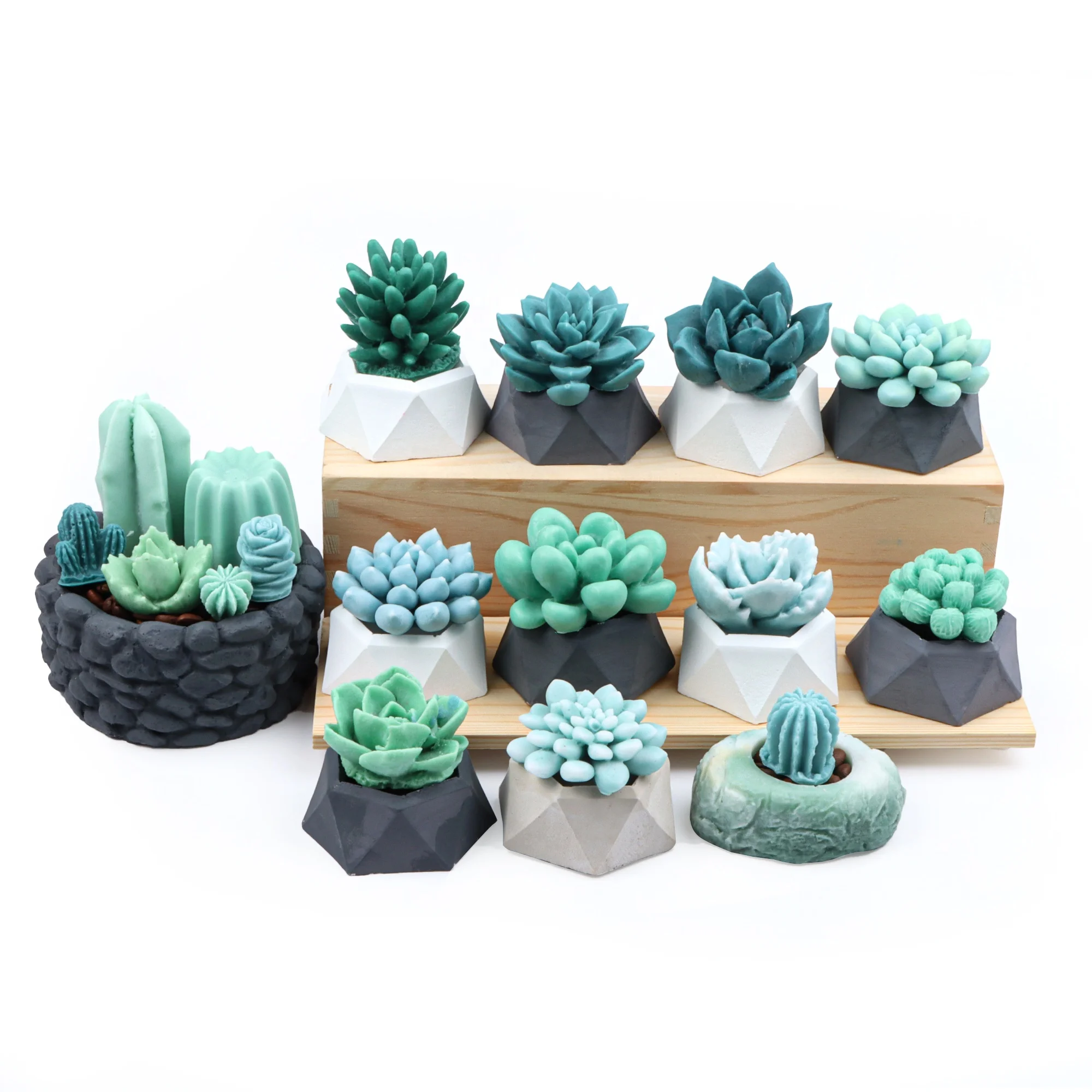 Buy BAKEWAREIND Lyba Moulds 3D Cactus Candle Decorations White Silicone  Cake Mould l Cake Mould l Bakeware Mould l Plastic l Cake Decorating Mould  l Chocolate Moulds l Cake Moulds l Moulds