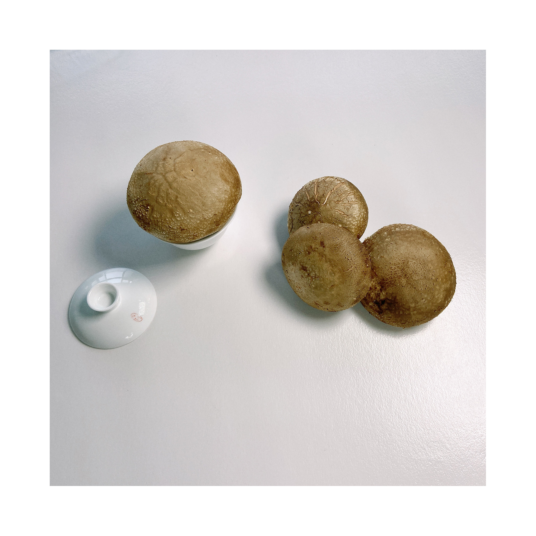 
 Оптовая продажа, большие вкусные свежие грибы шиитаке премиум класса  