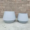 Light Grey