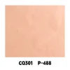 CQ301