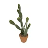verde 1